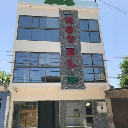 Hotel Los Pinos Centro Tuxtla Gutiérrez Zewnętrze zdjęcie